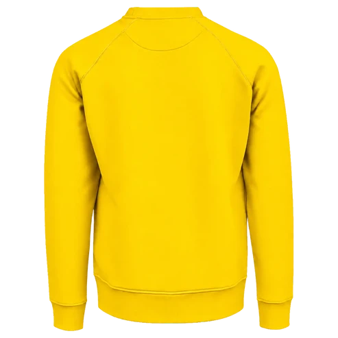 Sweatshirt REMO PRO - Men