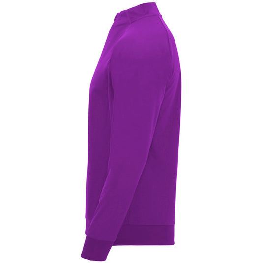 Sport Zip-Neck Sweatshirts EPIRO - Men
